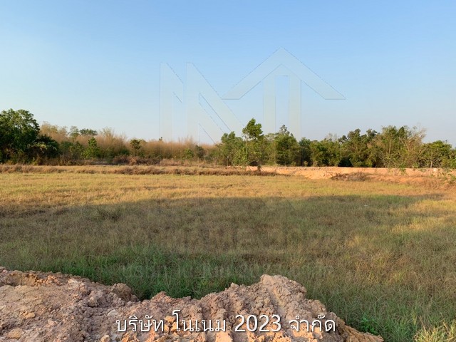 ขายที่ดินเปล่า เจ้าของขายเอง ติดถนนในซอย แนวลึกยาวติดกัน มีบ่อน้ำ 2 จุด ตำบลคำตโนด  อำเภอประจันตคาม จังหวัดปราจีนบุรี 