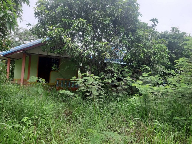 ขายที่ดินพร้อมบ้าน ที่สวย ทำเลดี มีน้ำและไฟฟ้าเข้าถึง ถนนเข้า-ออกสะดวก อยู่ในหมู่บ้าน อำเภอวานรนิวาส จังหวัดสกลนคร  ที่ตั้ง : บ้านคูสะคาม ตำบลคูสะคาม อำเภอวานรนิวาส 