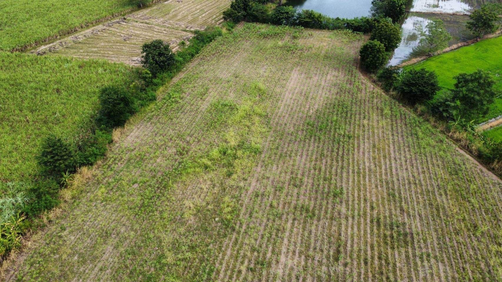 ขายที่ดินแปลงสวย ติดถนนหลักเส้นสระบุรี หล่มสัก เจ้าของขายเอง ตำบลหนองแดง อำเภอศรีเทพ จังหวัดเพชรบูรณ์