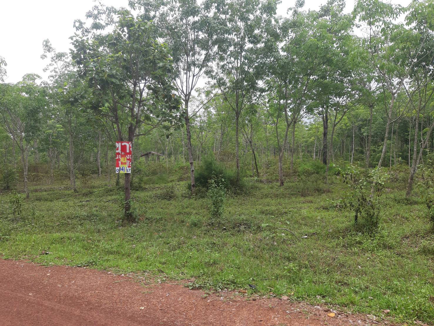 ขายที่ดิน 18 ไร่ ราคาสามารถคุยกันได้  ตำบลคำเตย อำเภอเมืองนครพนม จังหวัดนครพนม