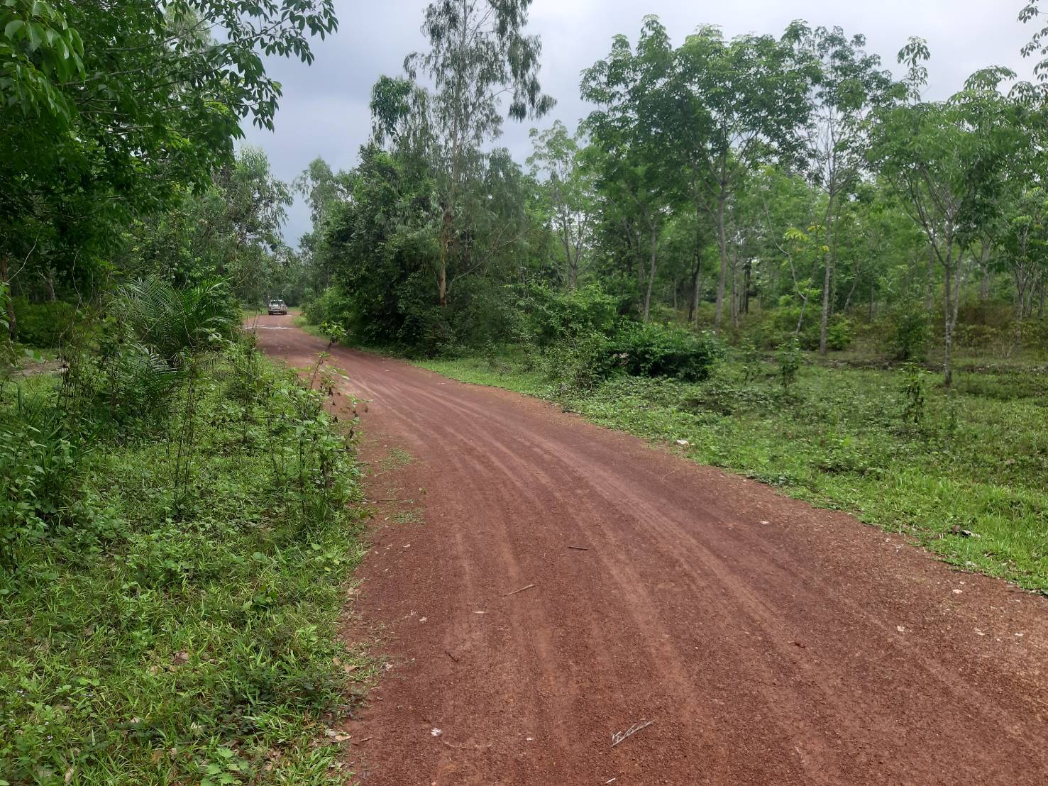ขายที่ดิน 18 ไร่ ราคาสามารถคุยกันได้  ตำบลคำเตย อำเภอเมืองนครพนม จังหวัดนครพนม