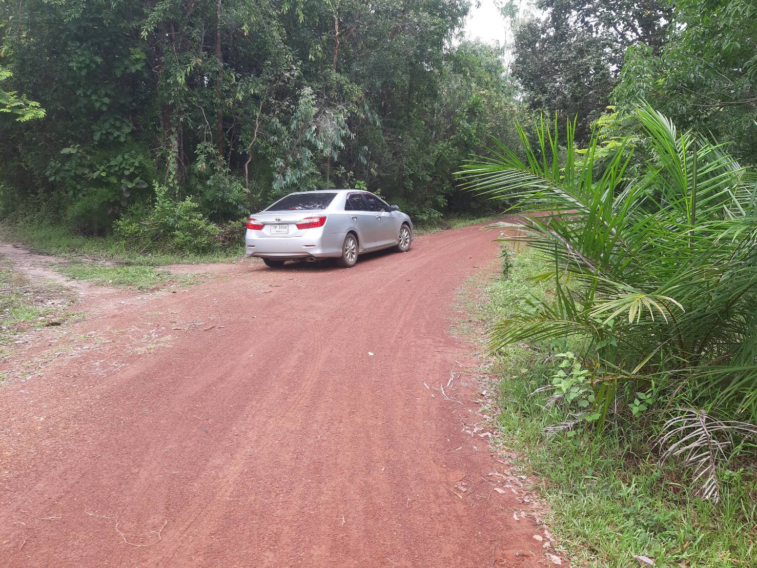 ขายที่ดิน 18 ไร่ ราคาสามารถคุยกันได้  ตำบลคำเตย อำเภอเมืองนครพนม จังหวัดนครพนม