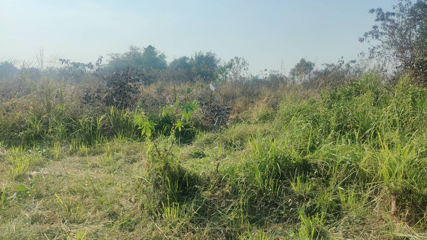 ขายที่ดินเปล่า ที่ติดถนนไม่ไกลจากในเมืองใกล้เขตอุตสาหกรรมสุรนารี เจ้าของขายเอง จังหวัดนครราชสีมา 