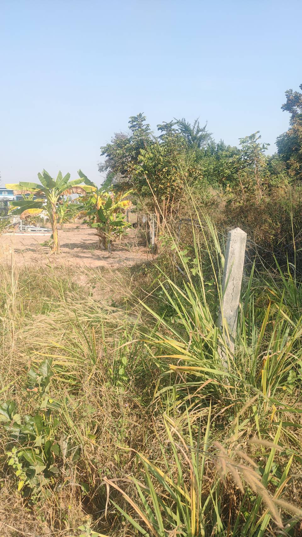 ขายที่ดินเปล่า ที่ติดถนนไม่ไกลจากในเมืองใกล้เขตอุตสาหกรรมสุรนารี เจ้าของขายเอง จังหวัดนครราชสีมา 