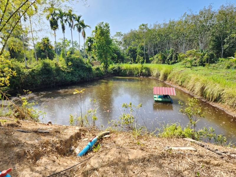 ขายบ้านสวนทุเรียน   ติดคลองปากน้ำกระแส บรรยากาศดี ร่มรื่น ลมพัดผ่านเย็นสบายทัังวัน จังหวัดระยอง