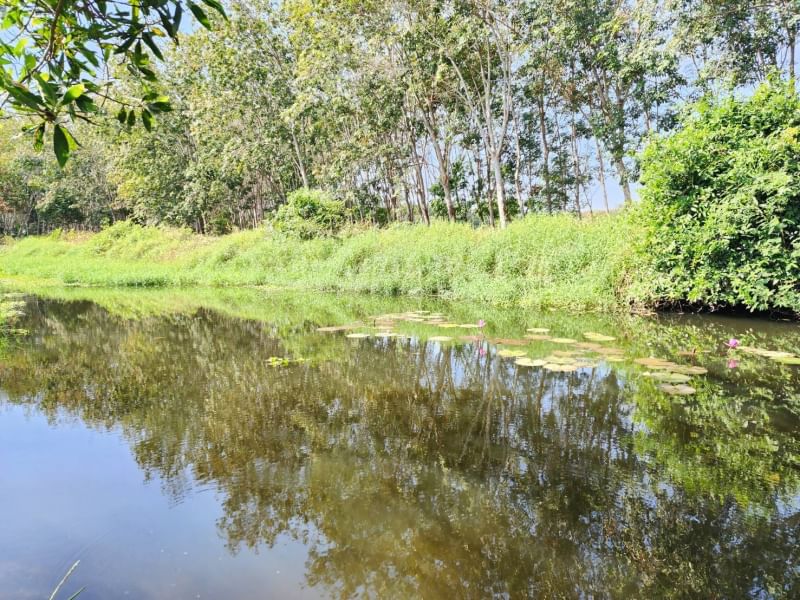 ขายบ้านสวนทุเรียน   ติดคลองปากน้ำกระแส บรรยากาศดี ร่มรื่น ลมพัดผ่านเย็นสบายทัังวัน จังหวัดระยอง