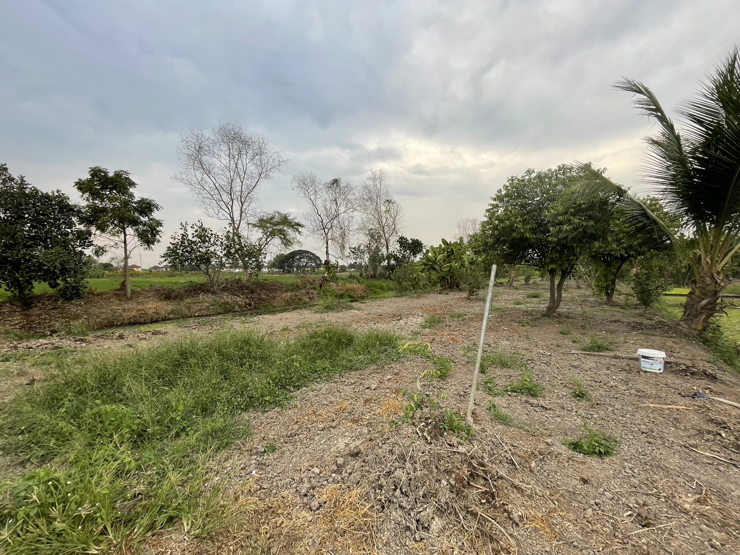 ขายบ้านพร้อมที่ดิน ทำเลทองเจ้าของขายเอง แขวงสามวาตะวันออก เขตคลองสามวา กรุงเทพมหานคร