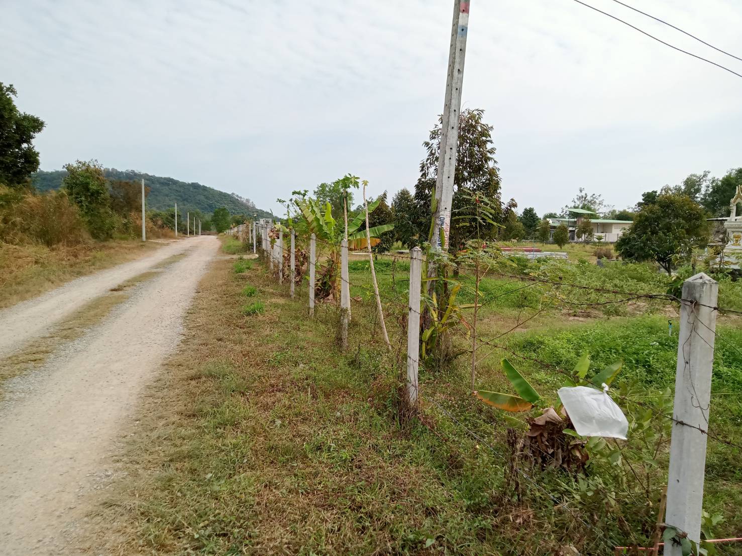 ขายบ้านพร้อมที่ดิน เจ้าของขายเอง ตำบลหนองจอก อำเภอท่ายาง จังหวัดเพชรบุรี