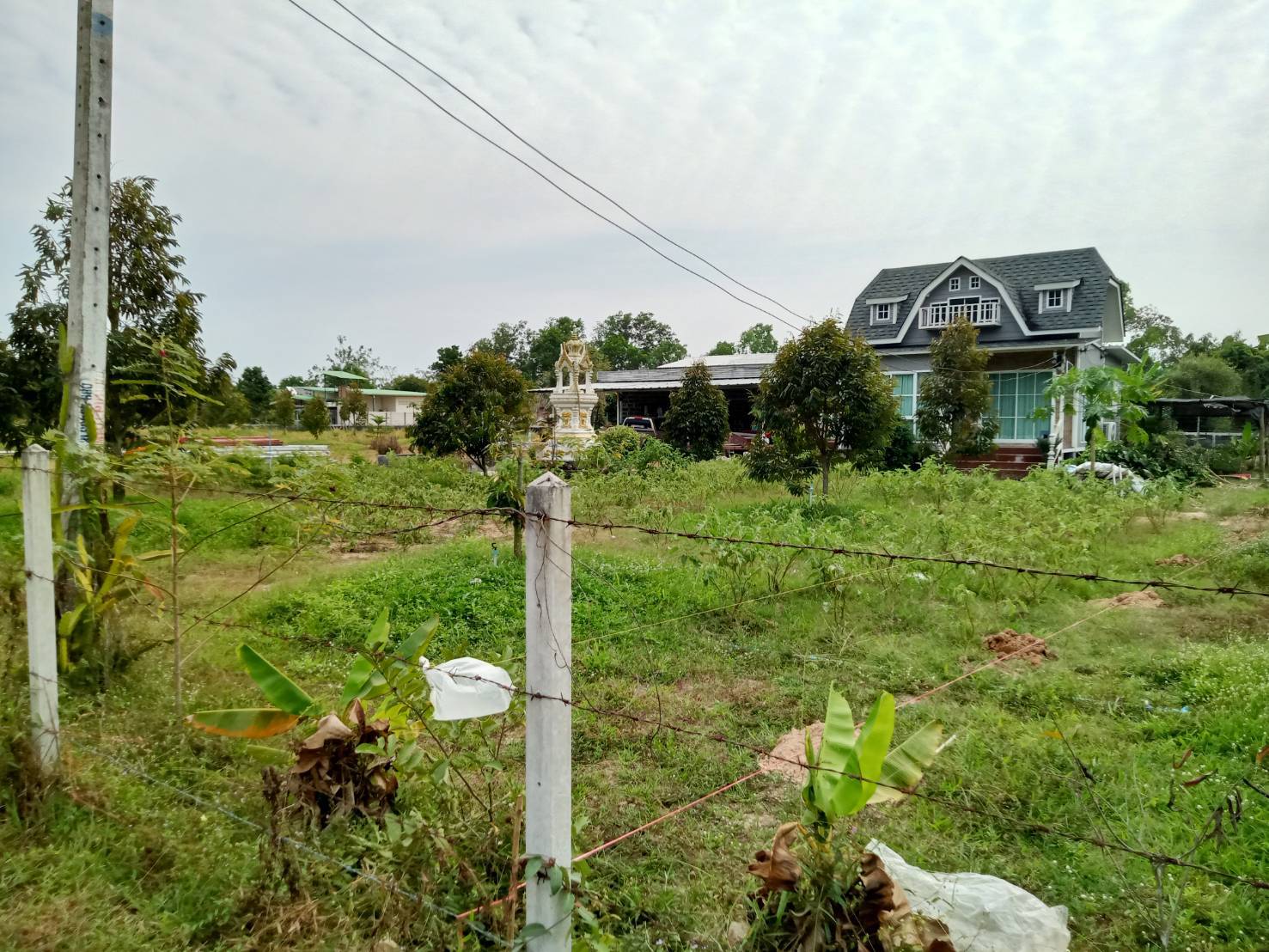 ขายบ้านพร้อมที่ดิน เจ้าของขายเอง ตำบลหนองจอก อำเภอท่ายาง จังหวัดเพชรบุรี