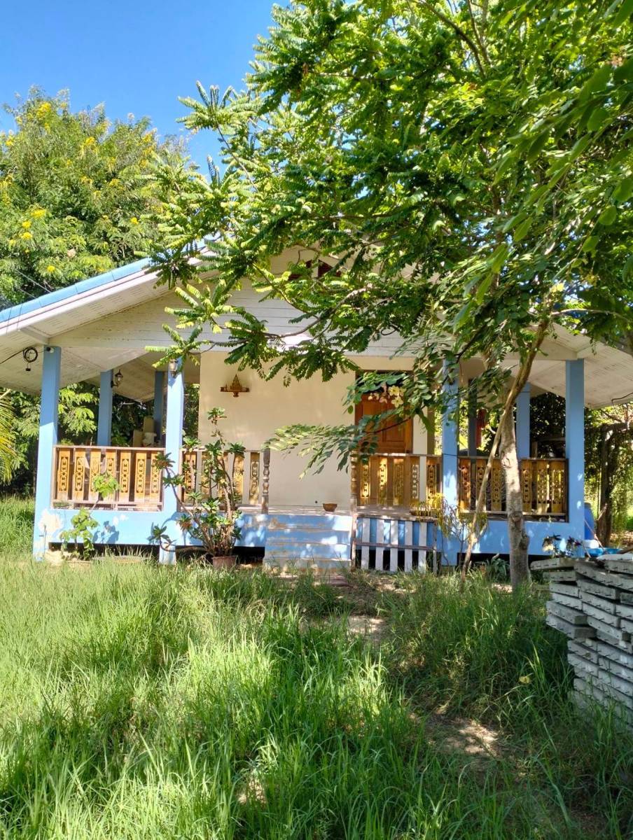 ขายบ้านพร้อมที่ดิน 3 ไร่ เจ้าของขายเอง ตำบลหนองจอก อำเภอท่ายาง จังหวัดเพชรบุรี