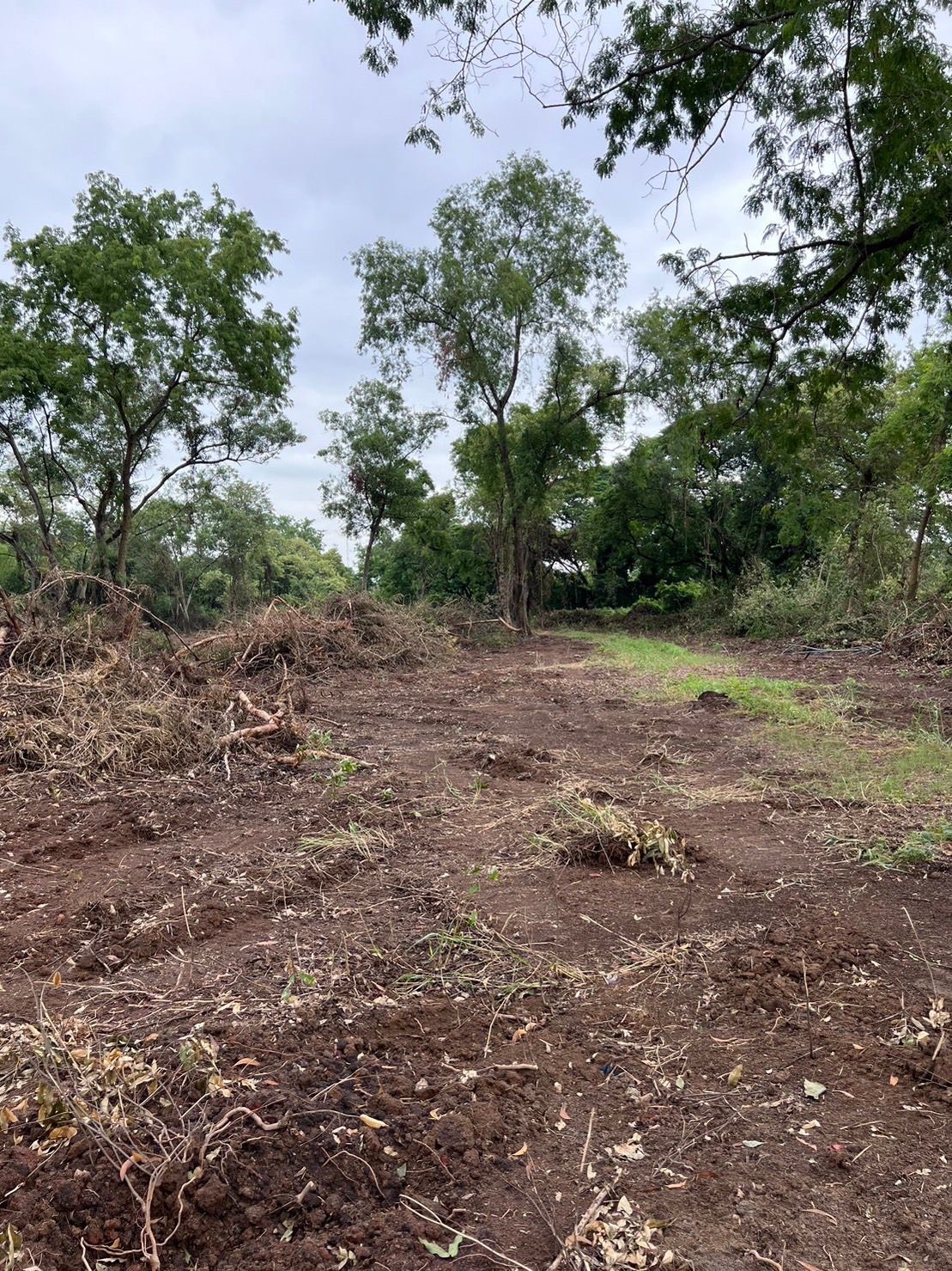 ขายที่ดิน 18 ไร่ เจ้าของขายเอง ตำบลบ้านเลน อำเภอบางปะอิน จังหวัดพระนครศรีอยุธยา