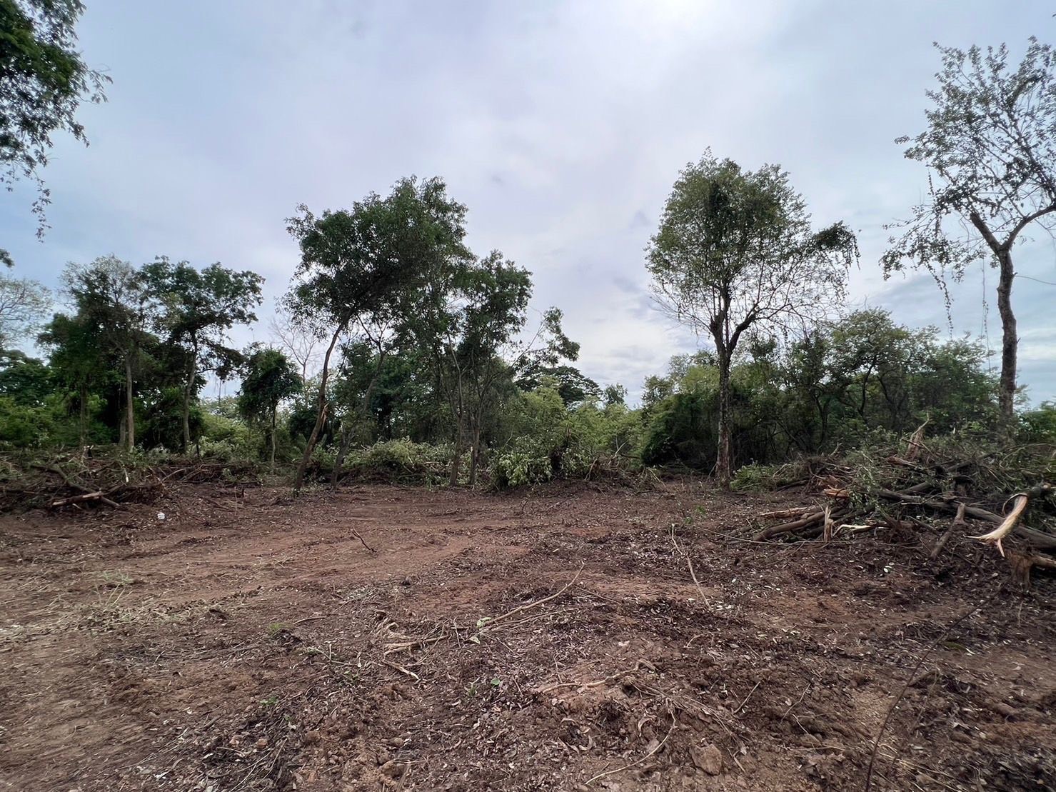 ขายที่ดิน 18 ไร่ เจ้าของขายเอง ตำบลบ้านเลน อำเภอบางปะอิน จังหวัดพระนครศรีอยุธยา