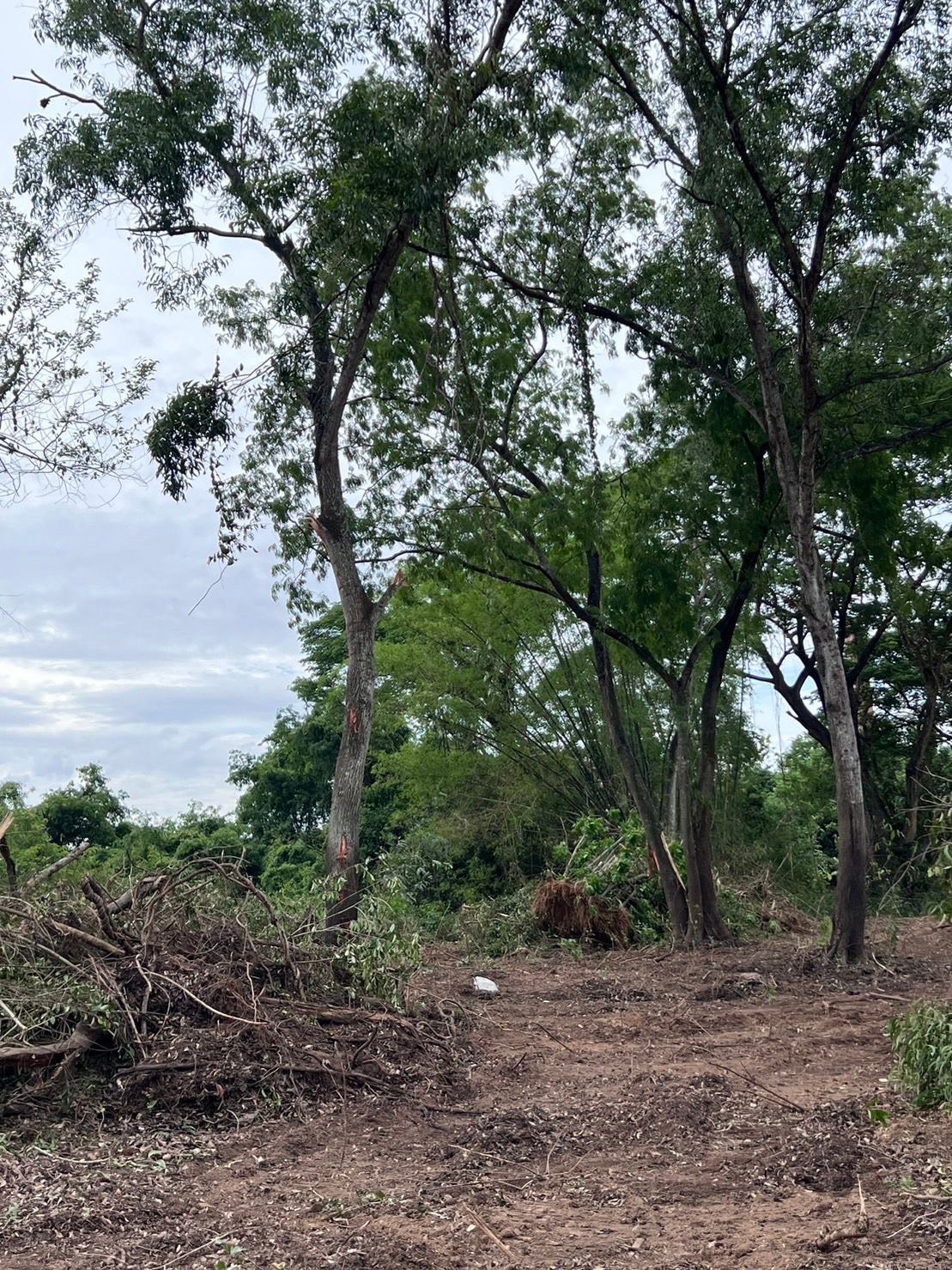 ขายที่ดิน 18 ไร่ เจ้าของขายเอง ตำบลบ้านเลน อำเภอบางปะอิน จังหวัดพระนครศรีอยุธยา