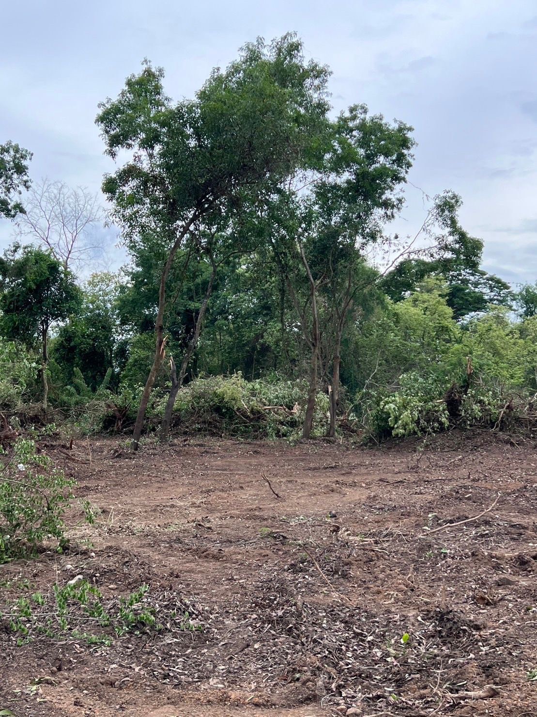 ขายที่ดิน 18 ไร่ เจ้าของขายเอง ตำบลบ้านเลน อำเภอบางปะอิน จังหวัดพระนครศรีอยุธยา