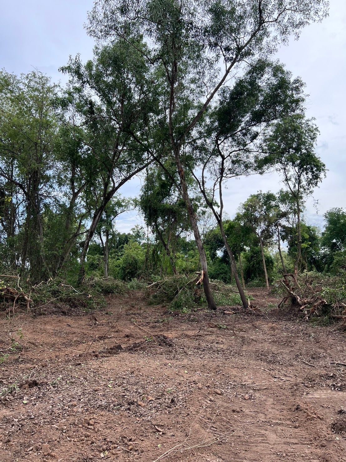 ขายที่ดิน 18 ไร่ เจ้าของขายเอง ตำบลบ้านเลน อำเภอบางปะอิน จังหวัดพระนครศรีอยุธยา