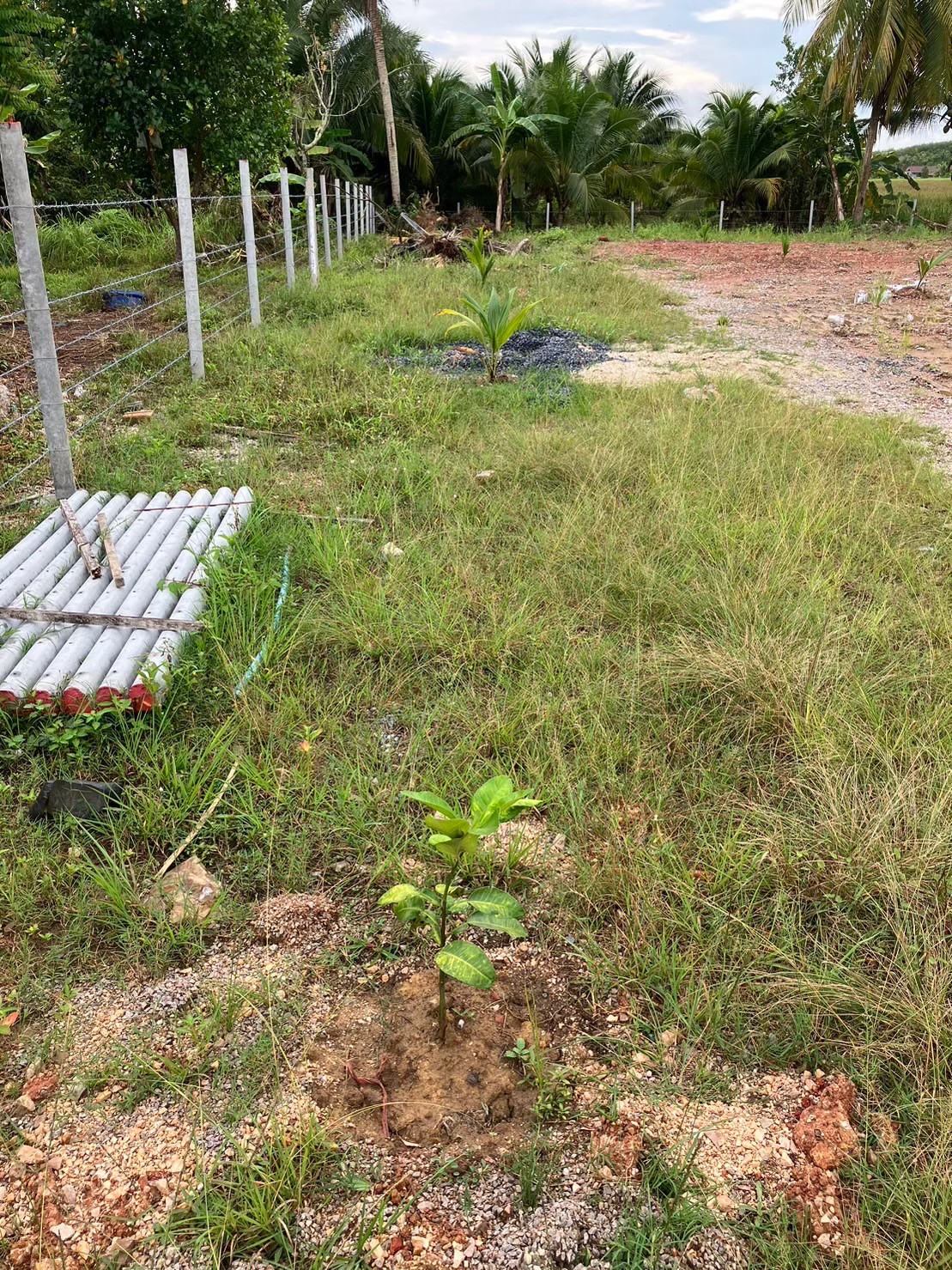 ขายที่ดินทำเลทอง เหมาะกับการทำปั๊มน้ำมัน ห้างสรรพสินค้า ตำบลควนขนุน อำเภอควนขนุน จังหวัดพัทลุง