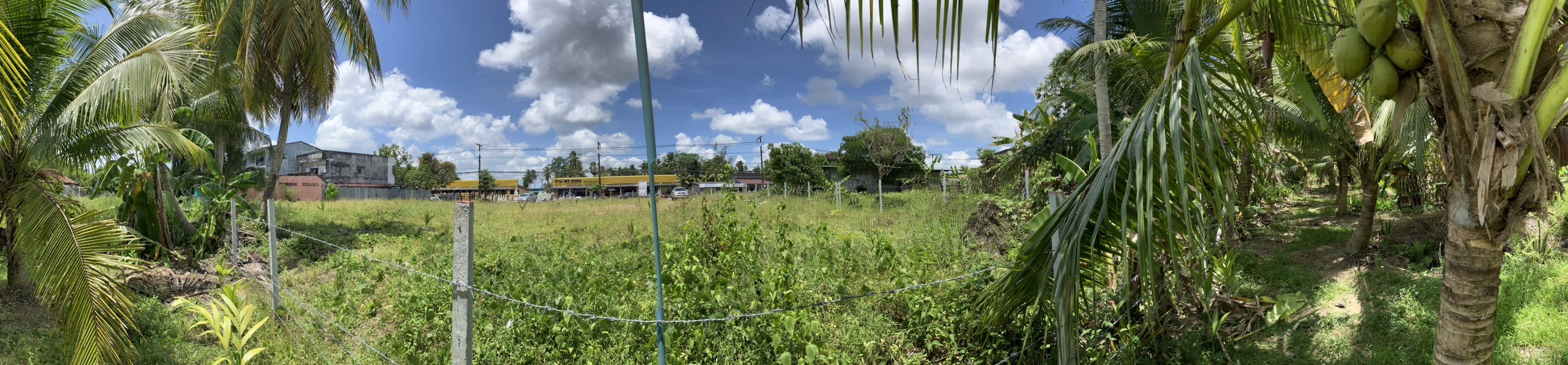 ขายที่ดินทำเลทอง เหมาะกับการทำปั๊มน้ำมัน ห้างสรรพสินค้า ตำบลควนขนุน อำเภอควนขนุน จังหวัดพัทลุง