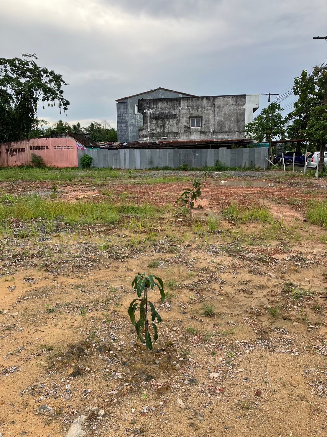 ขายที่ดินทำเลทอง เหมาะกับการทำปั๊มน้ำมัน ห้างสรรพสินค้า ตำบลควนขนุน อำเภอควนขนุน จังหวัดพัทลุง