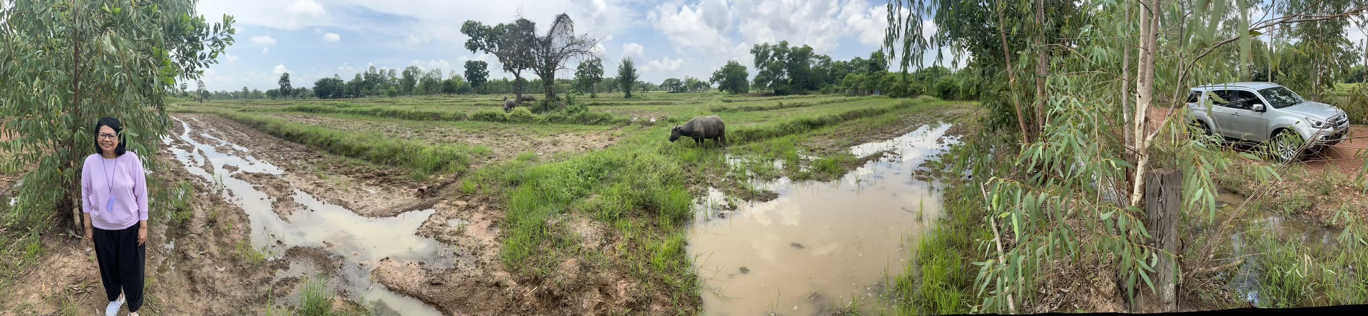 ขายที่ดิน 23 ไร่  เจ้าของขายเอง  บ้านโนนสา จ.อุดรธานี
