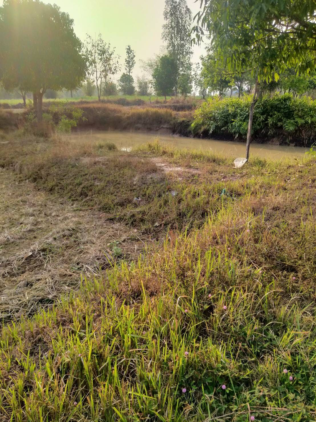 ขายที่ดิน 20 ไร่   เจ้าของขายเอง อำเภอกุฉินารายณ์ จังหวัดกาฬสินธุ์