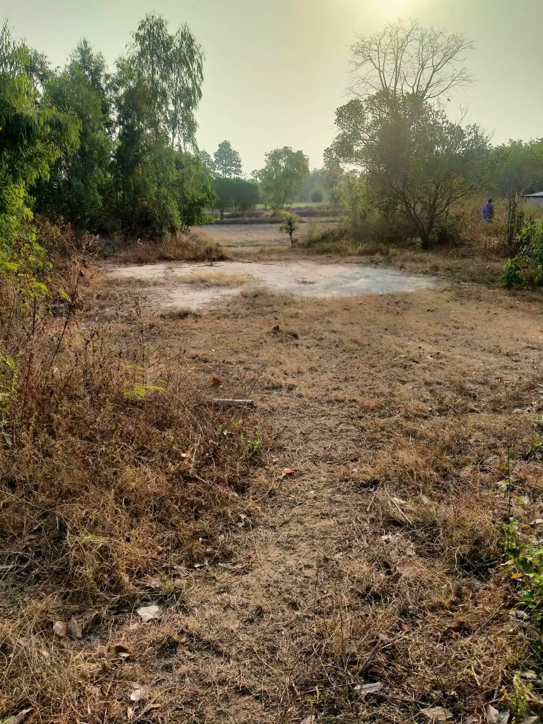 ขายที่ดิน 20 ไร่   เจ้าของขายเอง อำเภอกุฉินารายณ์ จังหวัดกาฬสินธุ์