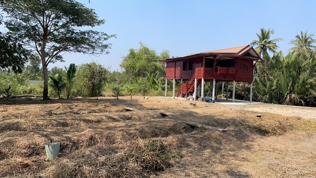 ขายที่ดินทำเลดี เนื้อที่ 3 งาน เจาของขายเอง ตำบลคลองเขิน อำเภอเมืองสมุทรสงคราม จังหวัดสมุทรสงคราม 