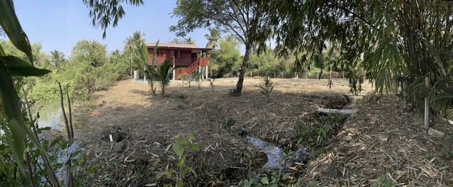 ขายที่ดินทำเลดี เนื้อที่ 3 งาน เจาของขายเอง ตำบลคลองเขิน อำเภอเมืองสมุทรสงคราม จังหวัดสมุทรสงคราม 