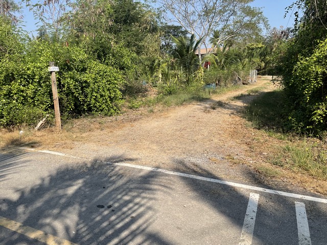 ขายที่ดินทำเลดี เนื้อที่ 3 งาน เจาของขายเอง ตำบลคลองเขิน อำเภอเมืองสมุทรสงคราม จังหวัดสมุทรสงคราม 