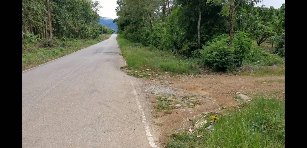 ขายที่ดิน  23  ไร่ 2งาน 44 ตารางวา ตำบลปะตง อำเภอเขาสอยดาว จังหวัดจันทบุรี