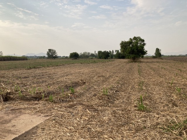 ขายที่ดินแหล่งธรรมชาติ เจ้าของขายเอง ตำบลรางสาลี่  อำเภอท่าม่วง จังหวัดกาญจนบุรี 