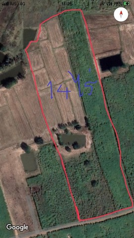 ขายที่ดินแหล่งธรรมชาติ เจ้าของขายเอง ตำบลรางสาลี่  อำเภอท่าม่วง จังหวัดกาญจนบุรี 