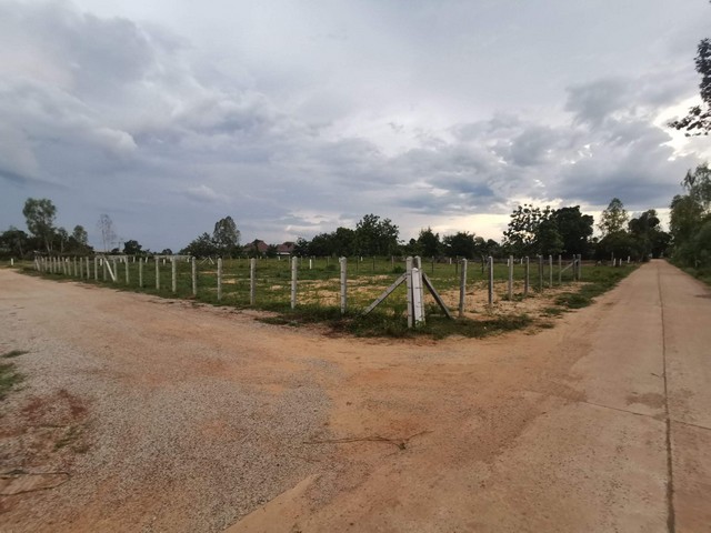 ขายทีดิน 2 งาน 43 ตารางวา เจ้าของขายเอง  ตำบลธาตุนาเวง อำเภอเมืองสกลนคร จังหวัดสกลนคร