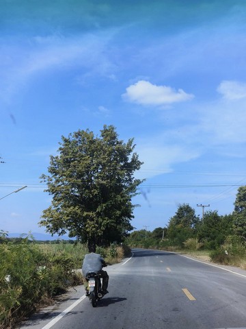 ขายที่ดิน23 ไร่ เจ้าของขายเอง ตำบลโคกแสมสาร อำเภอโคกเจริญ จังหวัดลพบุรี