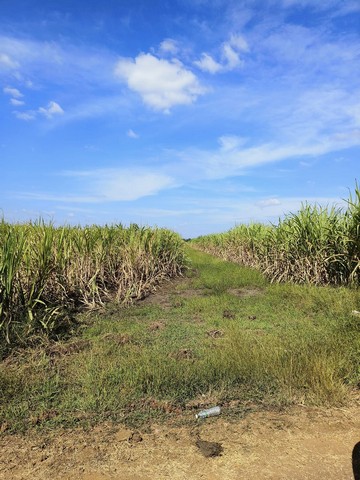 ขายที่ดิน23 ไร่ เจ้าของขายเอง ตำบลโคกแสมสาร อำเภอโคกเจริญ จังหวัดลพบุรี
