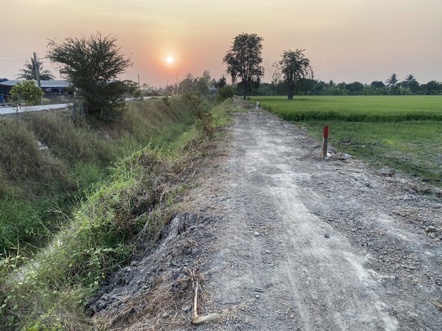 ขายที่ดินทำเลดี 200 ตารางวา  ตำบลบ้านสระ อำเภอสามชุก จังหวัดสุพรรณบุรี