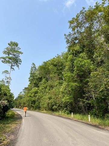 ให้เช่าดินทำเลดี ติดถนนใหญ่ เนื้อที่ 8 ไร่�อ่อนนุช แขวงสวนหลวง เขตสวนหลวง กรุงเทพมหานคร