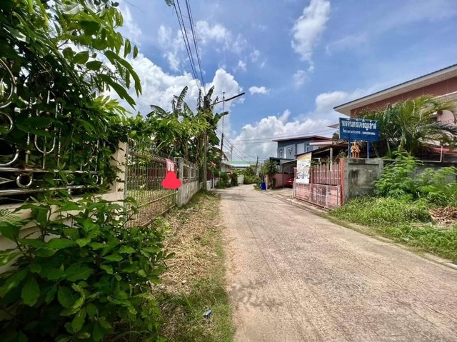 ขายที่ดิน ทำเลดี เหมาะสำหรับสร้างบ้าน ทำที่อยู่อาศัย  ตำบลกาฬสินธุ์ อำเภอเมือง จ.กาฬสินธุ์