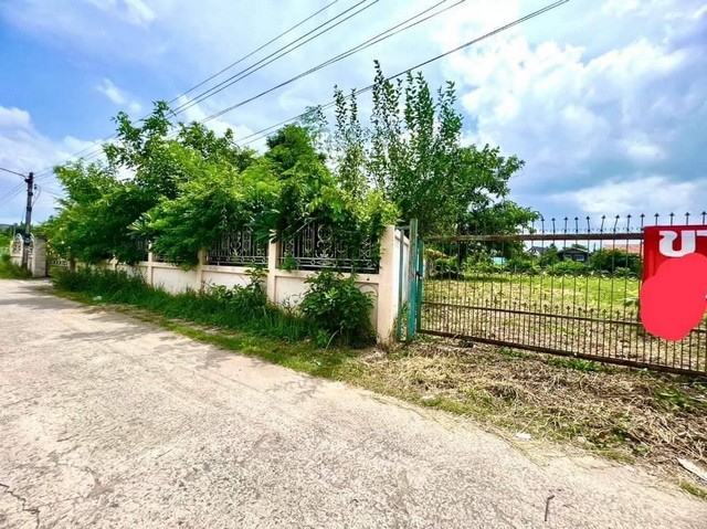 ขายที่ดิน ทำเลดี เหมาะสำหรับสร้างบ้าน ทำที่อยู่อาศัย  ตำบลกาฬสินธุ์ อำเภอเมือง จ.กาฬสินธุ์