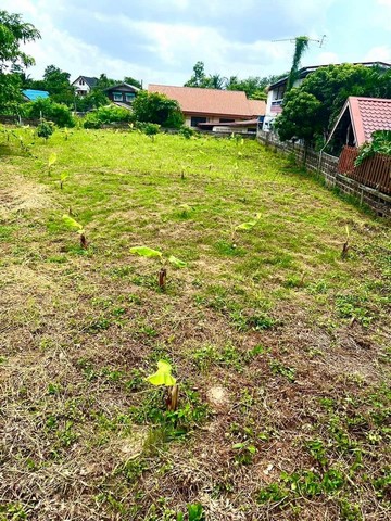 ขายที่ดิน ทำเลดี เหมาะสำหรับสร้างบ้าน ทำที่อยู่อาศัย  ตำบลกาฬสินธุ์ อำเภอเมือง จ.กาฬสินธุ์