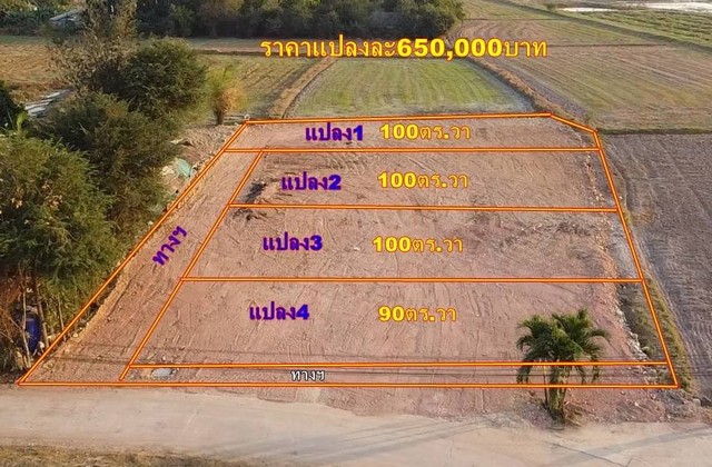 ขายที่ดินทำเลดี 100 ตารางวา มีเพื่อนบ้าน วิวสวย บรรยากาศดี เหมาะอยู่อาศัย ตำบลหนองสะเดาล่าง อำเภอเมืองราชบุรี จังหวัดราชบุรี