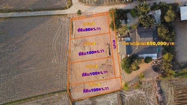 ขายที่ดินทำเลดี 100 ตารางวา มีเพื่อนบ้าน วิวสวย บรรยากาศดี เหมาะอยู่อาศัย ตำบลหนองสะเดาล่าง อำเภอเมืองราชบุรี จังหวัดราชบุรี