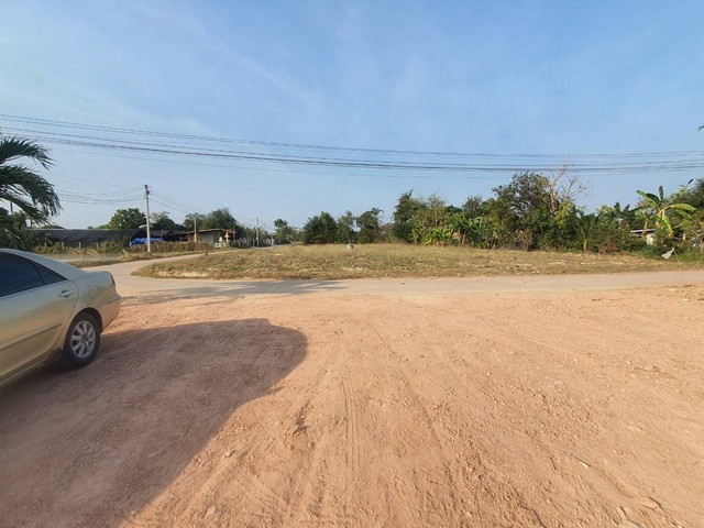 ขายที่ดินทำเลดี 100 ตารางวา มีเพื่อนบ้าน วิวสวย บรรยากาศดี เหมาะอยู่อาศัย ตำบลหนองสะเดาล่าง อำเภอเมืองราชบุรี จังหวัดราชบุรี