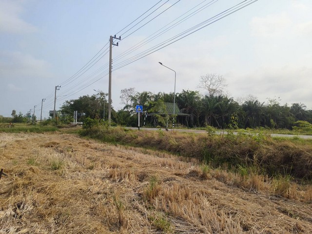 ขายที่ดินลำลูกกา  43 ไร่ เหมาะทำโรงงาน โกดัง หมู่บ้านจัดสรร ตำบลพืชอุดม  อำเภอลำลูกกา จังหวัดปทุมธานี