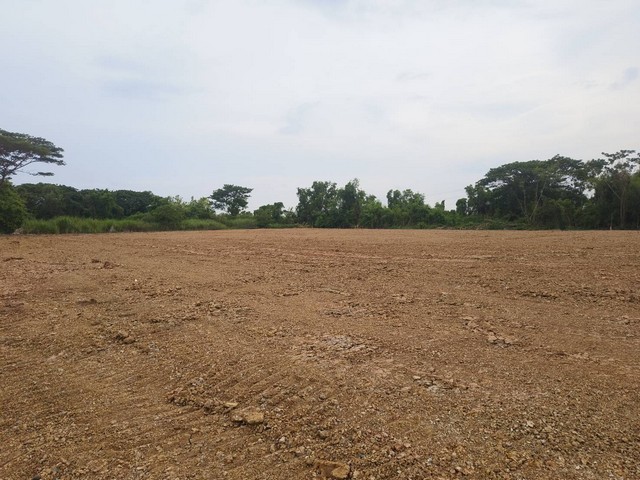 ขายที่ดิน 2-4 ไร่ ตำบลพืชอุดม  อำเภอลำลูกกา จังหวัดปทุมธานี