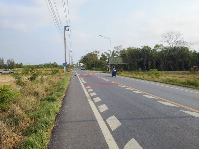 ขายที่ดิน เจ้าของขายเอง แบ่งแปลงเริ่มต้น  2 ไร่ ตำบลพืชอุดม อำเภอลำลูกกา จังหวัดปทุมธานี