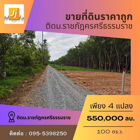 ขายที่ดินหน้าราชภัฏนครศรีธรรมราช  100 ตารางวา โฉนดพร้อมโอน ตำบลท่างิ้ว อำเภอเมืองนครศรีธรรมราช นครศรีธรรมราช