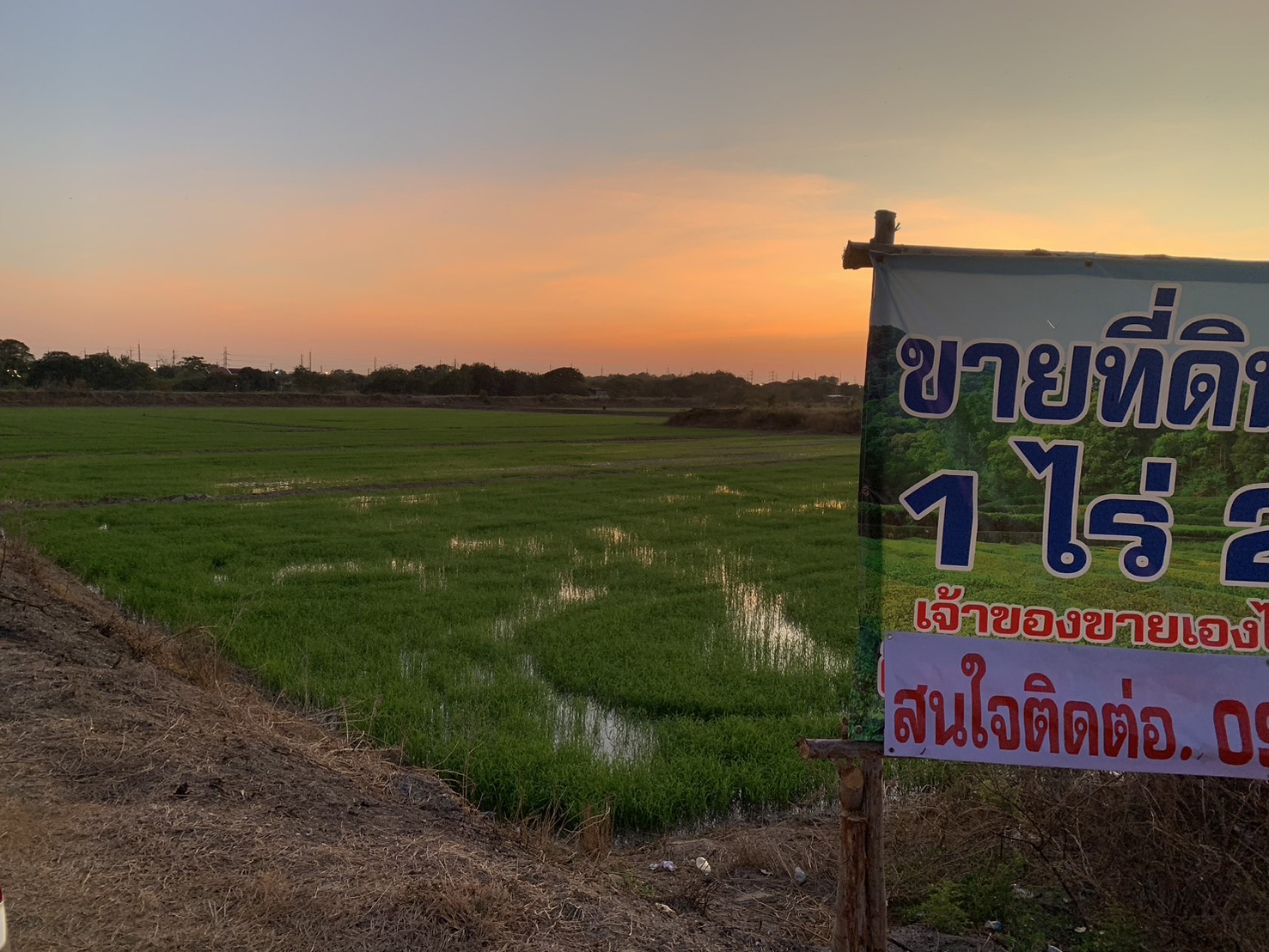 ขายที่ดิน  1 ไร่ 2งาน  เจ้าของขายเอง ตำบลท่าระหัด อำเภอเมืองสุพรรณบุรี จังหวัดสุพรรณบุรี