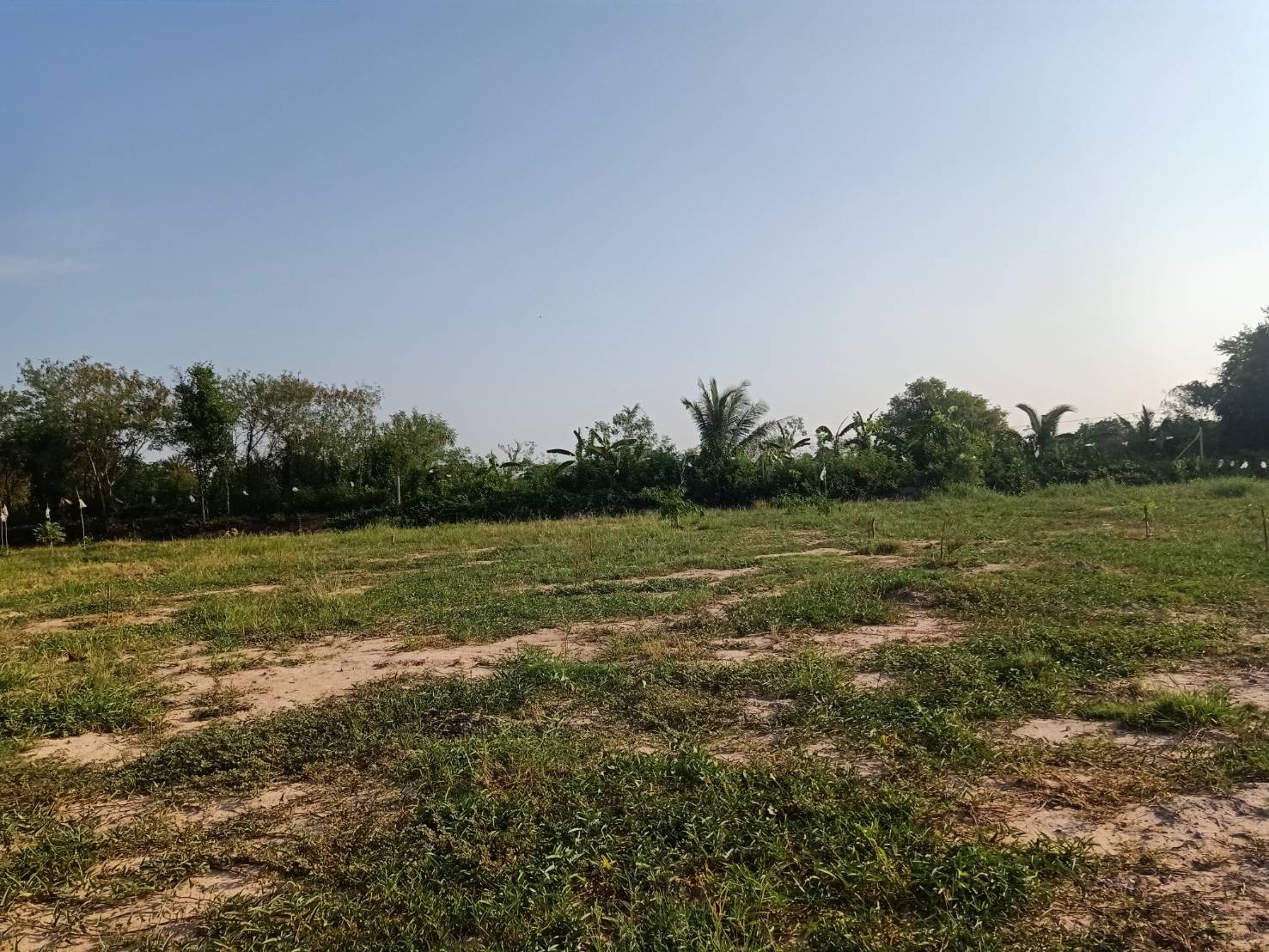 ขายที่ดิน  2ไร่1งาน บ้านห้วยหิน ตำบลสีคิ้ว อำเภอสีคิ้ว จังหวัดนครราชสีมา     