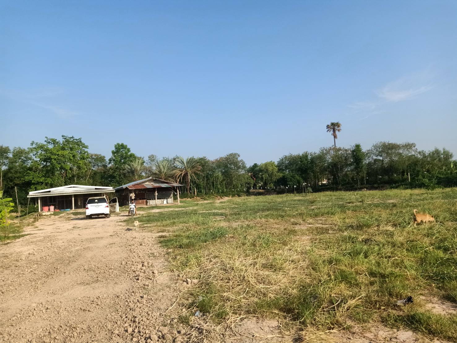 ขายที่ดิน  2ไร่1งาน บ้านห้วยหิน ตำบลสีคิ้ว อำเภอสีคิ้ว จังหวัดนครราชสีมา     