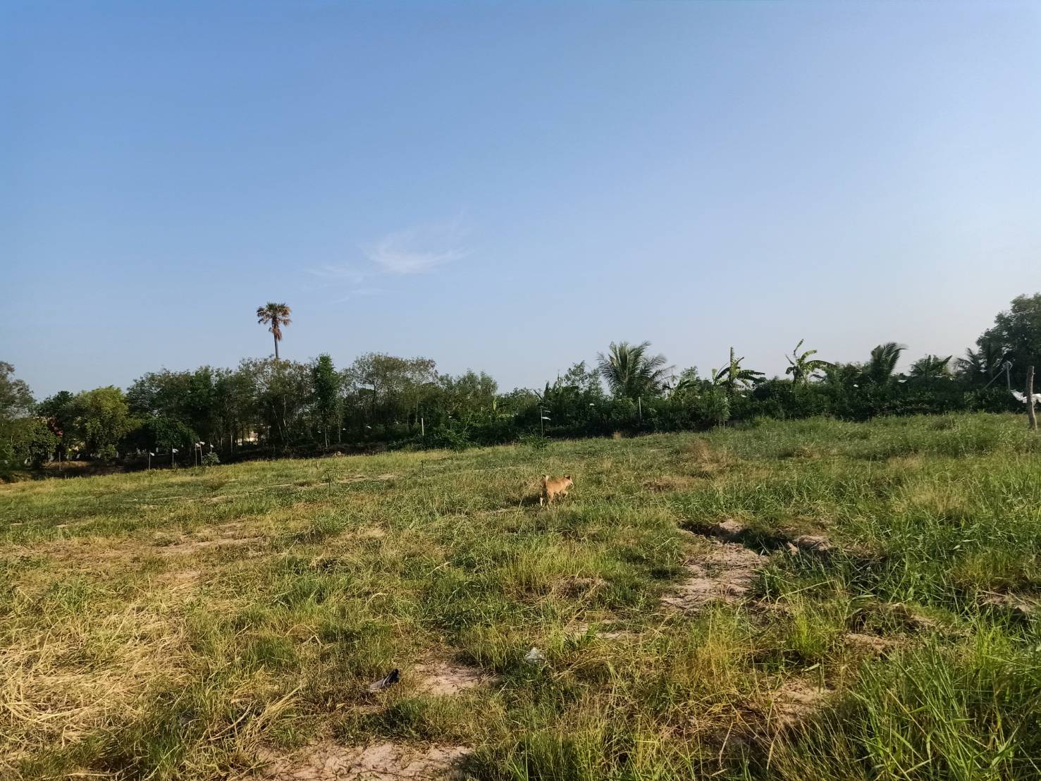 ขายที่ดิน  2ไร่1งาน บ้านห้วยหิน ตำบลสีคิ้ว อำเภอสีคิ้ว จังหวัดนครราชสีมา     